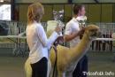 best of show2009