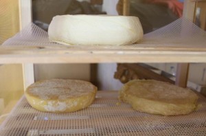 L'affinage du fromage dans un garde-manger.